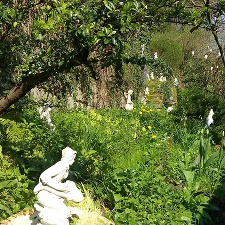 Gaestehaus Hirsch Отель *